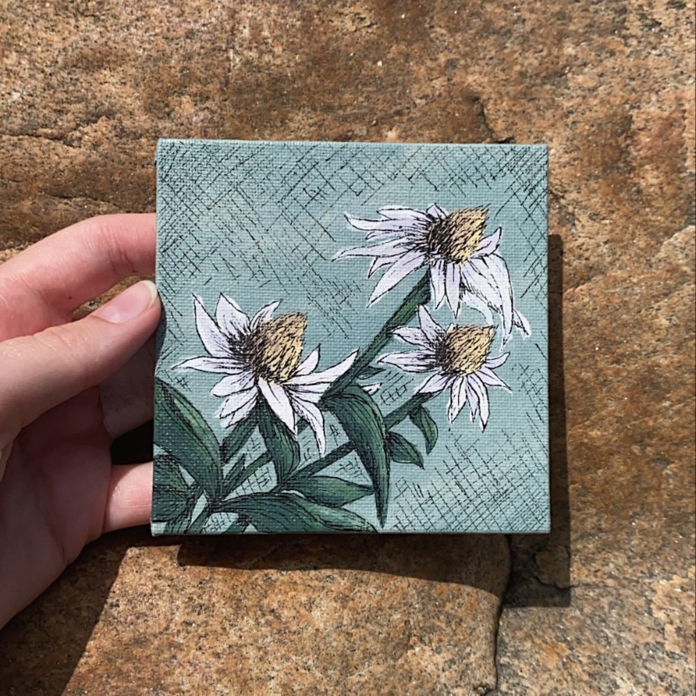 !Wild Daisies Original Acrylic Painting Art!